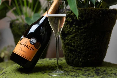vinho, premiacao, espumante, serra gaúcha, destemperados<!-- NICAID(14842921) -->