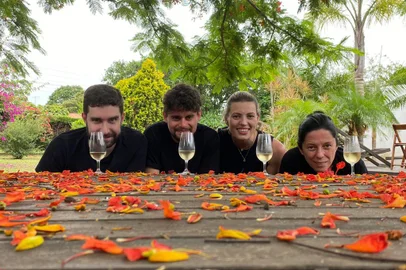 Brasil de Vinhos - da esquerda pra direita, Róger Thieme Perotto, Luiz Gustavo Lovato, Caroline Dani e Lucia Porto (foto BdV divulgação)<!-- NICAID(15443466) -->