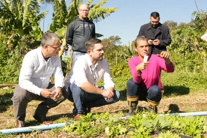 A prefeitura de Porto Alegre fará um investimento de R$ 6 milhões em produtos da agricultura familiar para alimentação da escolas públicas. Somente em produtores da Capital, serão destinados R$ 500 mil.Nesta segunda-feira (16), o secretário da Educação, Leonardo Pascoal, visitou agricultores no Lami que vão fornecer os insumos para a alimentação de crianças e adolescentes da rede municipal. Ele foi acompanhado pelo titular da pasta de Governança Cidadã e Desenvolvimento Rural (Smgov), Cássio Trogildo. Com o aporte, serão adquiridos 57 toneladas de alimentos.<!-- NICAID(16062104) -->