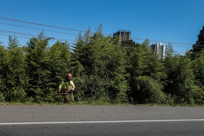 CAXIAS DO SUL, RS, BRASIL, 21/10/2025. Raio-X das estradas: Rota do Sol, entre a Serra e o Litoral, tem pontos com desníveis no asfalto e falta de sinalização. A reportagem percorreu o trecho entre o "Viaduto Torto", em Caxias do Sul, até a BR-101, em Terra de Areia, para avaliar as condições da rodovia. (Neimar De Cesero/Agência RBS)Indexador: Neimar De Cesero<!-- NICAID(16151220) -->