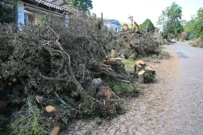 PORTO ALEGRE, RS, BRASIL, 31/01/2024- Foto na rua Frederico Etzberger, no bairro Nonoai, onde GZH passou dias após a tempestade do dia 16, segue tomada pelos entulhos de uma figueira gigante que desabou. Além disso, o trecho está sem luz há mais de 15 dias e a CEEE Equatorial alega que, para religar a eletricidade, precisa que a Prefeitura remova os troncos e galhos da árvore. Foto: Ronaldo Bernardi / Agencia RBS<!-- NICAID(15665327) -->