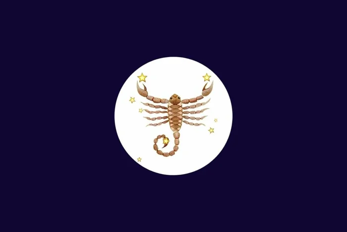 juliawhite / Shutterstock | Portal EdiCase