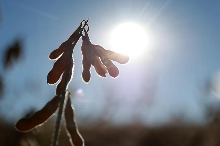 Jeff Botega / Agencia RBS