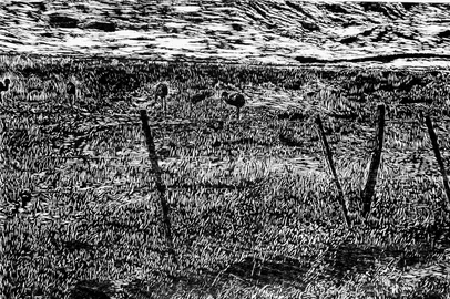 A Galeria de Arte Elyr Ramos Rodrigues, no Bloco J da Universidade de Caxias do Sul, inicia o mês de junho com a exposição Topografias da natureza: gravuras mediadas por tecnologias, de Lurdi Blauth, com curadoria de Niura A. Legramante Ribeiro. A abertura ocorre nesta quinta-feira, dia 11, às 19h40min, com entrada franca, quando a comunidade acadêmica e o público poderão participar de um bate-papo com artista e curadora. A mostra se estende até 30 de junho, de segunda a sexta-feira, das 9h às 22h.<!-- NICAID(16301558) -->