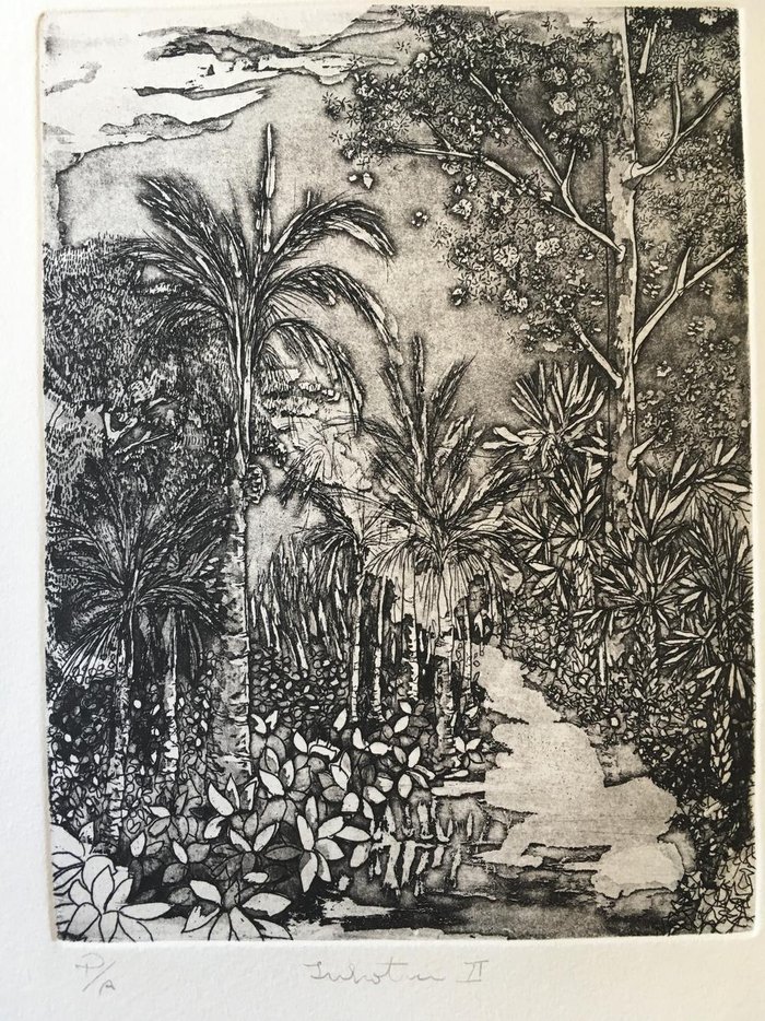 Arte de Eda Lani Fabris / Divulgação