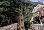 Roteiro Caminhos de Caravaggio não será afetado com reforma de ponte entre Caxias e Gramado 