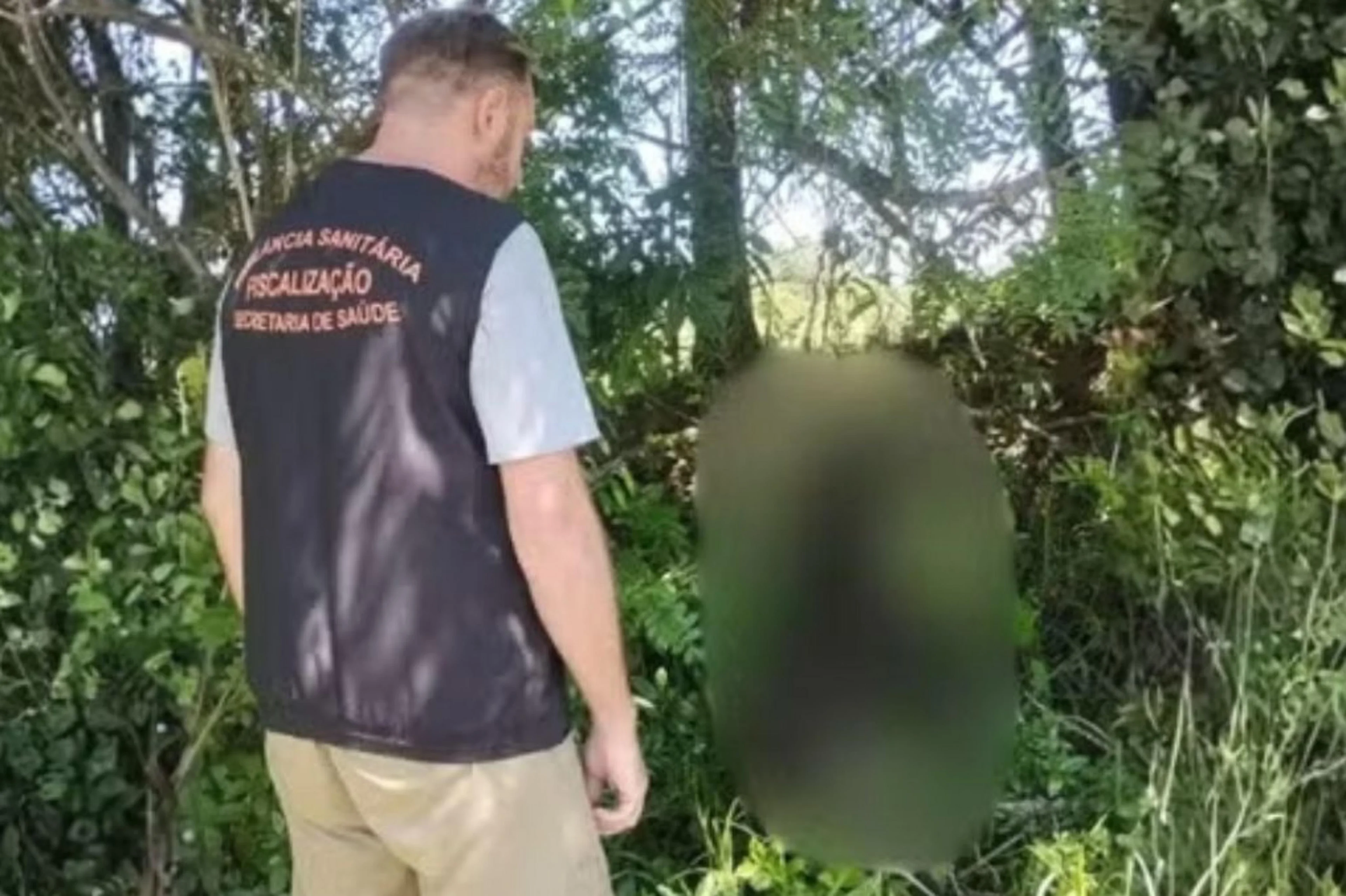 Prefeitura de Encruzilhada do Sul/Divulgação