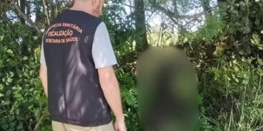 Pol&iacute;cia investiga morte de seis c&atilde;es no RS; cinco teriam sido arremessados de ponte