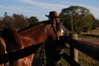 Jaguarão, RS, Brasil – Ginete e treinador de cavalo crioulo, Ricardo Gigena Wrege, o Ricardinho, se destaca na formação de campeões, unindo técnica, tradição e a relação próxima com os animais.Indexador: jeff botega<!-- NICAID(16101302) -->