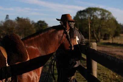 Jaguarão, RS, Brasil – Ginete e treinador de cavalo crioulo, Ricardo Gigena Wrege, o Ricardinho, se destaca na formação de campeões, unindo técnica, tradição e a relação próxima com os animais.Indexador: jeff botega<!-- NICAID(16101302) -->