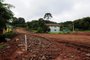 ANTÔNIO PRADO, RS, BRASIL, 15/02/2023. A reportagem percorreu a RS-437 para verificar as condições do trecho e obras que estão ocorrendo, entre os municípios de Antônio Prado e Vila Flores. Na foto, obras na RS 437, no sentido Antônio Prado a Vila Flores. (Bruno Todeschini/Agência RBS)Indexador: BTK<!-- NICAID(15351017) -->