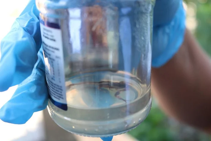 Rafael da Silva Carvalho / Divulgação Prefeitura de Caxias do Sul