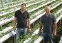 Conheça quem faz o agro em Caxias do Sul