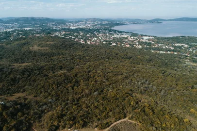 PORTO ALEGRE, RS, BRASIL - 04.06.2021 - Fotos da Mata Atlântica no Parque Morro do Osso, na Zona Sul de Porto Alegre. (Foto: Félix Zucco/Agencia RBS)<!-- NICAID(14801317) -->