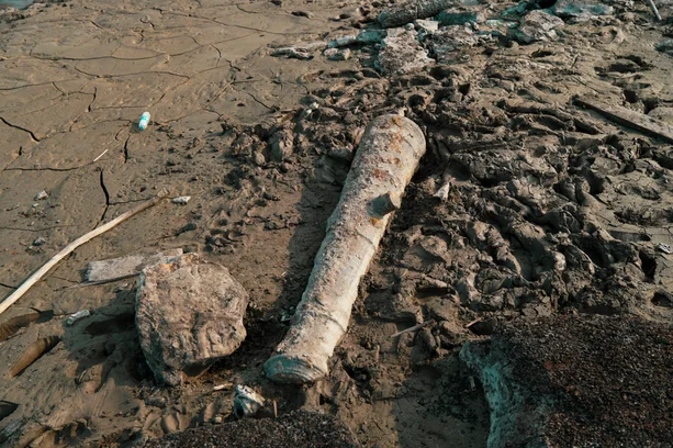 Rafael Amon-Ha / Divulgação image