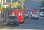 Ataque de abelhas deixa duas pessoas feridas no Charqueadas, em Caxias do Sul