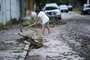 PORTO ALEGRE, RS, BRASIL - 17/01/2024 - Moradores da Avenida Gávea, zona sul de Porto Alegre, iniciam o processo de retirada de árvores e lama das casas. FOTO: MATHEUS PÉ, AGÊNCIA RBS<!-- NICAID(15652655) -->