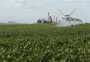 Indústrias constroem proposta de "Fundopem da irrigação" para produtores rurais