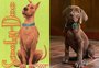 Scooby-Doo: confira o novo visual do cachorro queridinho dos cinemas em live-action da Netflix