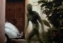 ET em Passo Fundo? Filme "Sinais" completa 22 anos em meio a histórias de abduções no norte gaúcho
