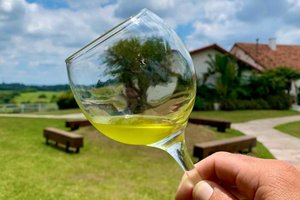 Estância das Oliveiras / Divulgação