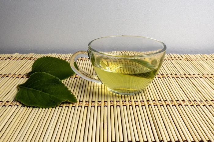 Studio Neeby / Shutterstock | Portal EdiCase