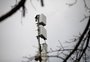 O que falta para Passo Fundo implementar a tecnologia da 5G
