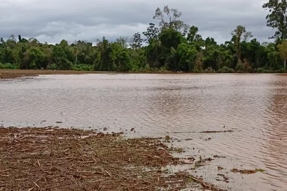 Enchente do arroio Boa Vista atinge lavoura de azevém em Estrela<!-- NICAID(16063622) -->