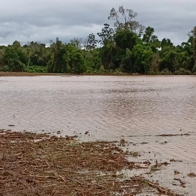 Enchente do arroio Boa Vista atinge lavoura de azevém em Estrela<!-- NICAID(16063622) -->