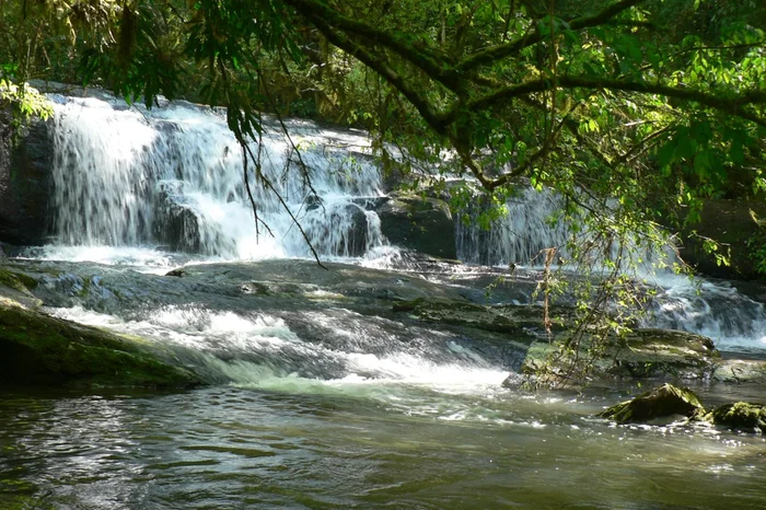 Prefeitura de Vila Maria / Reprodução