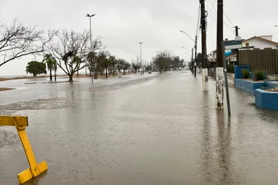 Avenida Getulio Vargas<!-- NICAID(16346706) -->