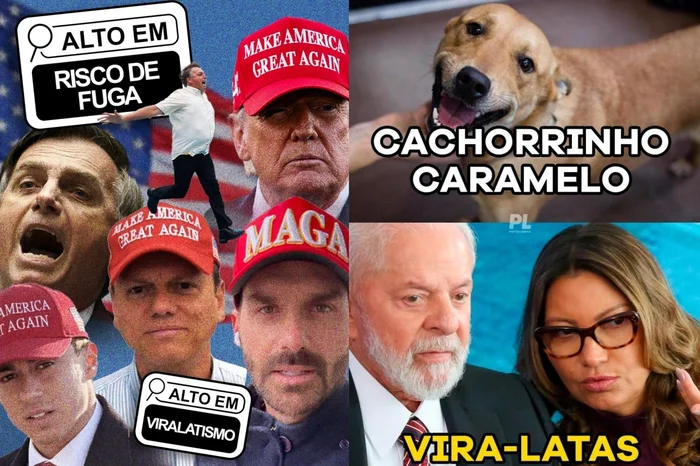 @ptbrasil / @plnacional_ / Reproduão / X @ptbrasil / @plnacional_ / Reproduão / X