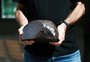 Conheça a história do meteorito raro encontrado em Caçapava do Sul há mais de cem anos