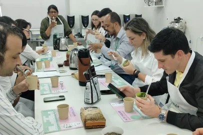 Missão técnica do setor de erva-mate dentro da cadeia produtiva do café, em Varginha, Minas Gerais<!-- NICAID(16325131) -->