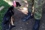 Homem é preso, pelo 3º Batalhão Ambiental da Brigada Militar, por maus-tratos a uma cachorra em Canela<!-- NICAID(15605527) -->