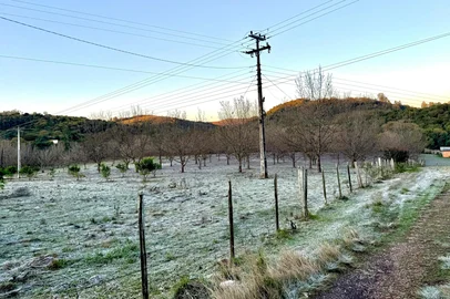 Cidades do norte gaúcho têm geada e sensação térmica de até -10,4°C<!-- NICAID(16065968) -->