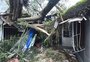 Vendaval derruba árvores e causa transtornos em Porto Alegre