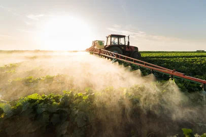 *A PEDIDO DE CAROLINA PASTL* Fertilização de campo - Foto: Dusan Kostic/stock.adobe.comFonte: 244021725<!-- NICAID(15281414) -->