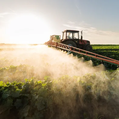 *A PEDIDO DE CAROLINA PASTL* Fertilização de campo - Foto: Dusan Kostic/stock.adobe.comFonte: 244021725<!-- NICAID(15281414) -->