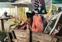 Já foi às compras em um shopping rural? Saiba por que a Expointer voltará a ter um