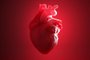 Coração humano - Foto: Arnold/stock.adobe.comFonte: 418911722<!-- NICAID(15634570) -->