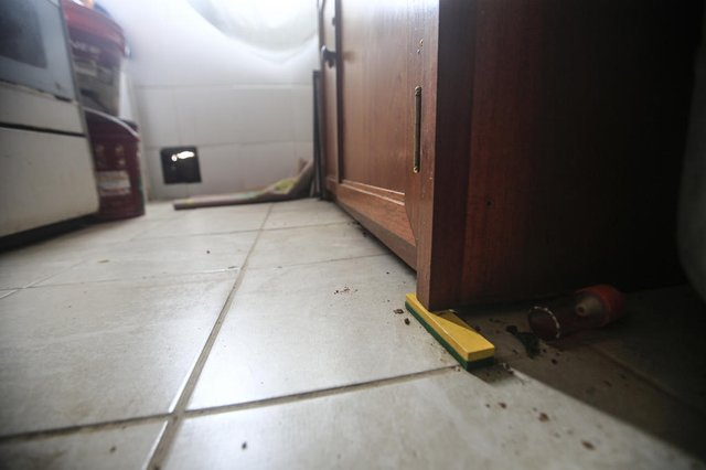 PORTO ALEGRE, RS, BRASIL - 04.02.2021 - Famílias reclamam de condições de apartamentos entregues pela prefeitura. (Foto: André Ávila/Agencia RBS)Indexador: Andre Avila<!-- NICAID(14707179) -->