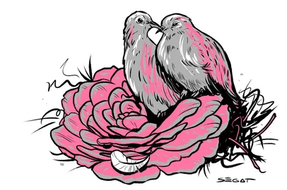 Charles Segat / Especial Ilustração de Charles Segat para a crônica "Ornitólogo de Apartamento", de Nivaldo Pereira, a ser publicada na edição dos dias 15 e 16 de novembro, no caderno Almanaque.<!-- NICAID(16166986) -->