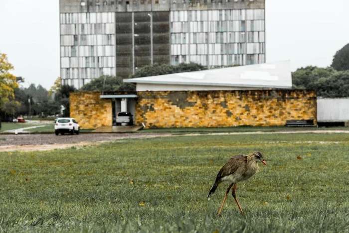 Paulo Baraúna / UFSM