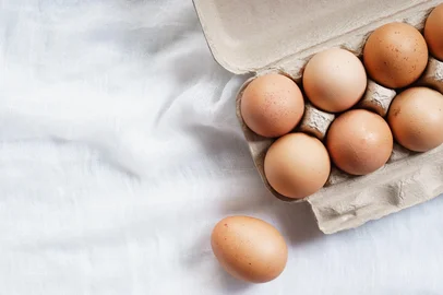 Cardboard egg boxâ¨<!-- NICAID(15998251) -->