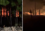 Incêndio mobiliza bombeiros de três cidades para combate a chamas em mata de Tramandaí