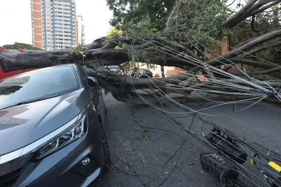 Temporal deixa 2 milhões sem luz em São Paulo<!-- NICAID(16184460) -->