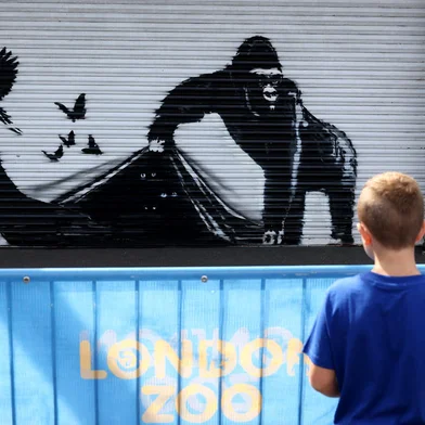 A child looks at an artwork by street artist Banksy, the ninth to released in nine days, depicting a gorilla releasing animals, on the front of a shutter outside London zoo, on August 13, 2024. The artist confirmed the work to be theirs after posting an image of it on the social media app Instagram. (Photo by Adrian DENNIS / AFP) / RESTRICTED TO EDITORIAL USE - MANDATORY MENTION OF THE ARTIST UPON PUBLICATION - TO ILLUSTRATE THE EVENT AS SPECIFIED IN THE CAPTIONEditoria: ACELocal: LondonIndexador: ADRIAN DENNISSecao: culture (general)Fonte: AFPFotógrafo: STF<!-- NICAID(15839852) -->