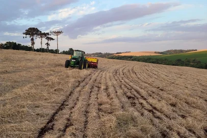 Plantio de soja no Rio Grande do Sul<!-- NICAID(16169522) -->