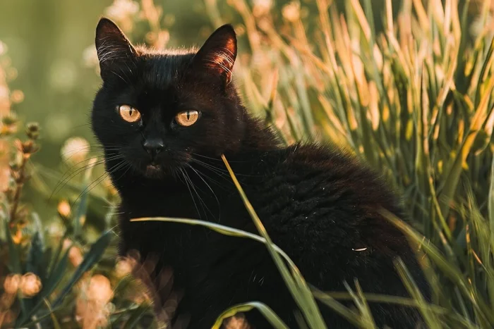 alexgo.photography / Shutterstock | Portal EdiCase